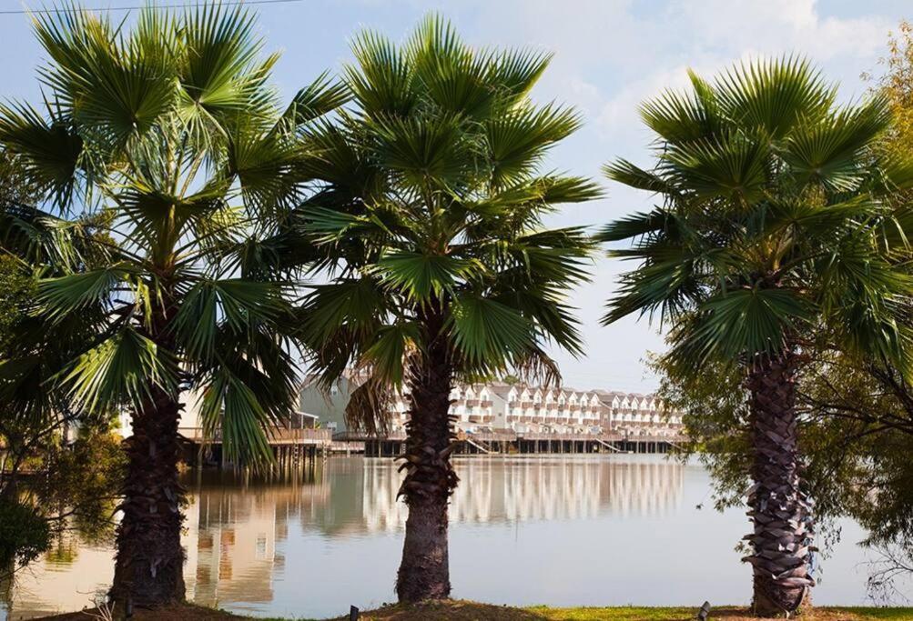 Scenic Carolina Waterfront Rentals - Arco تشارلستون المظهر الخارجي الصورة